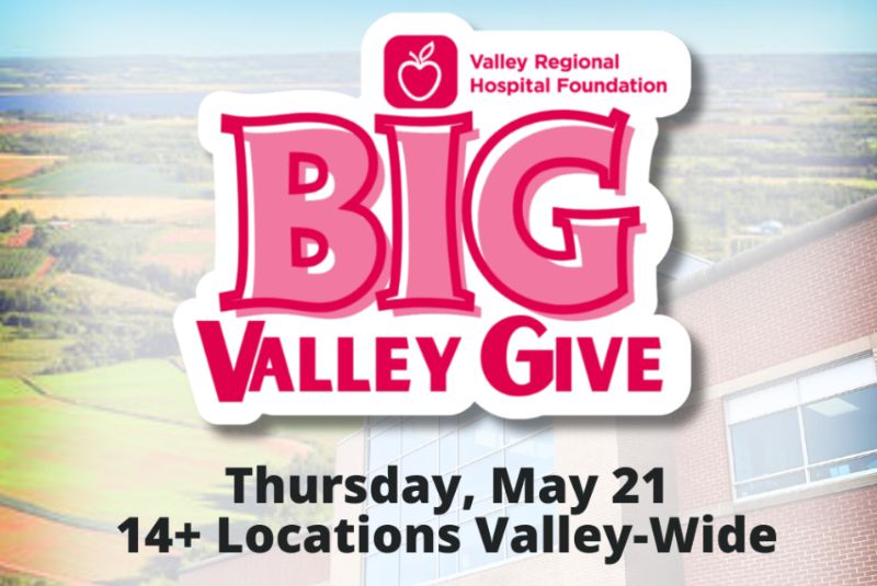 Logo, Big Valley Give